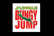 bungy jump gallery picture